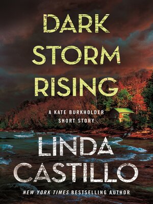 cover image of Dark Storm Rising